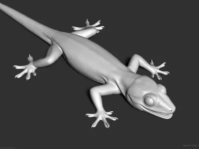 Tropical House Gecko Lizard - Highpoly Model 3D model