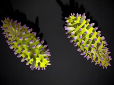 Cadlinella ornati - Game Ready Low-poly 3D model Low-poly 3D model