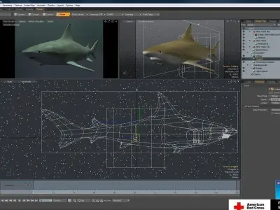 Black Tip Reef Shark 3D model