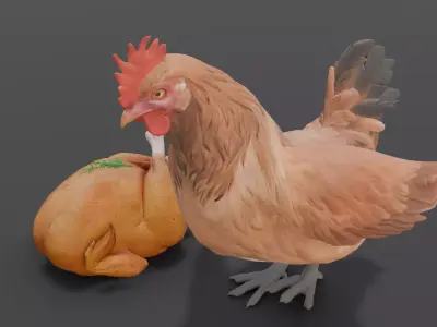 Animated Chicken 2 in 1  Low-poly 3D model