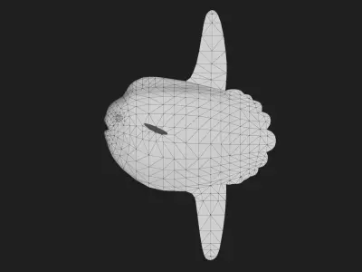 Sunfish Low-poly 3D model