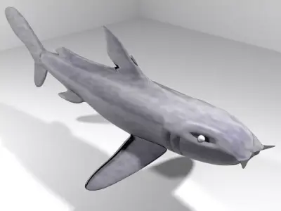 Shark - Bullshark 3D model