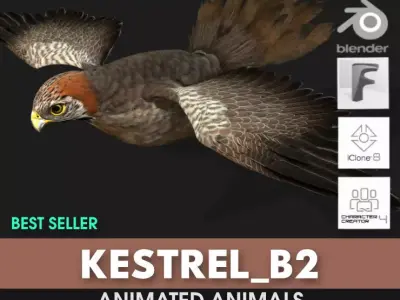 Kestrel B2 3D model