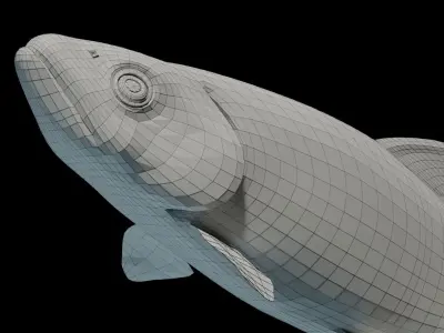 Animated Brook Trout Low-poly 3D model