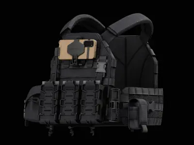 TYR Tactical PICO DSX Assaulter Plate Carrier V2 Low-poly 3D model