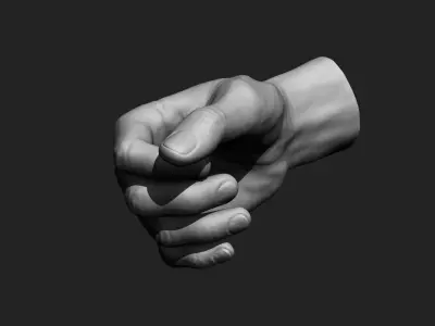 Male hands 12 poses 3D model