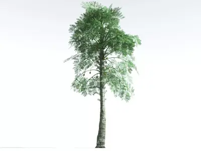 EVERYPlant Alethopteris Seed Fern 2 --12 Models-- 3D model