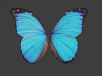 Butterfly - Insect Low-poly 3D model