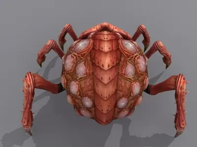 Queen bug Low-poly 3D model