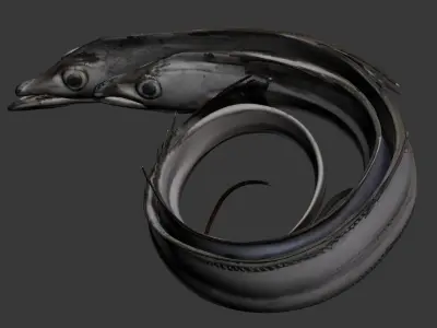 Fish hairtail 3D model