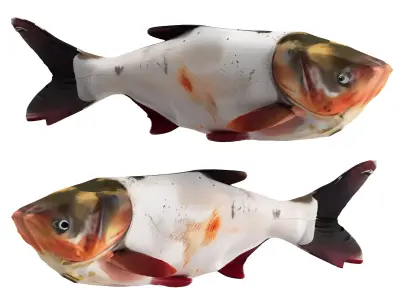 freshwater fish 3D model