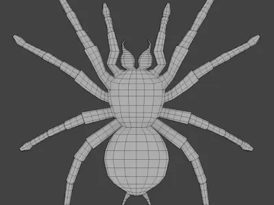 Spider Base Mesh  Low-poly 3D model