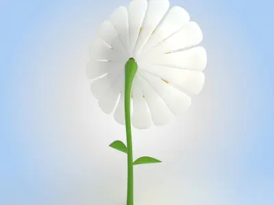 Daisy flower 3D model