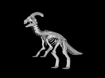 Parasaurolophus skeleton Low-poly 3D model
