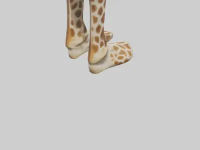 Giraffe Hooves Low-poly 3D model