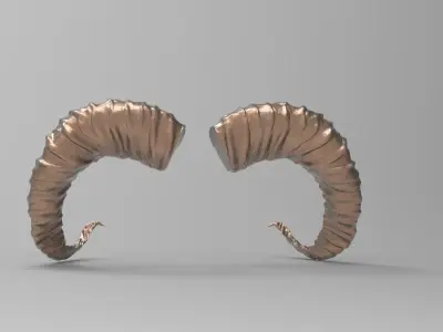 Sheep horns 3D 3D model
