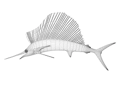 Sailfish 3D model