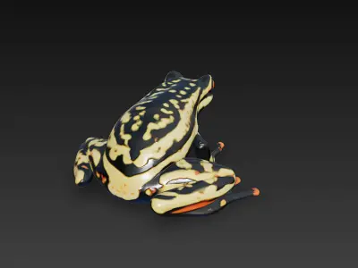 Frog Poisonous Realistic 3D Model Basic - Low Poly Realistic Low-poly 3D model