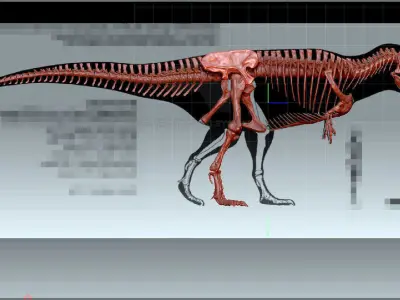 Dinosaur Giganotosaururs Full Skeletons Sculpt Project 3D model