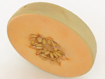 Round Slice Orange Honeydew Melon 3D model