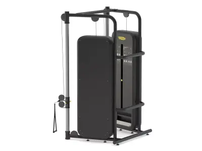 Technogym Dual Adjustable Pulley Fitness 3D model