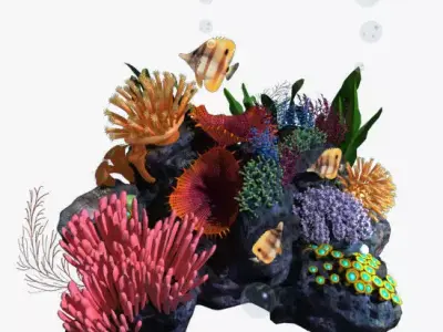 Coral reef transparent 3D model