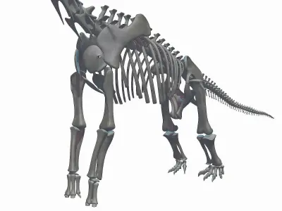 Brachiosaurus Skeleton 3D model Low-poly 3D model