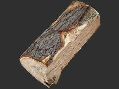 3D Scan tree trunk in highpoly 3D model