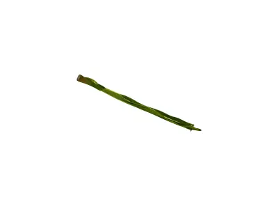 Banana Leaf 3D Model Low-poly 3D model