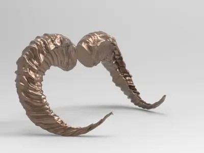 Sheep horns 3D 3D model