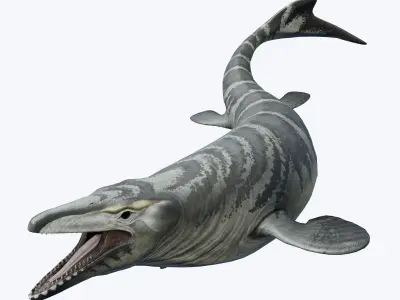 Mosasaurus Asset Pack Low-poly 3D model