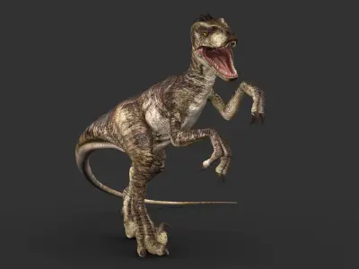 Velociraptor 2 RIGGED 3D model