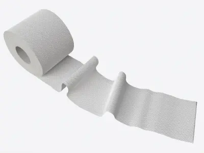 Toilet Paper Roll with Unrolled Part 3D model