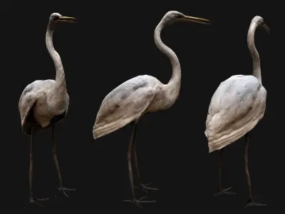 Heron Bird Low-poly 3D model