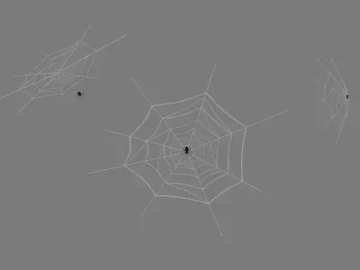 Web And Spider 3D model