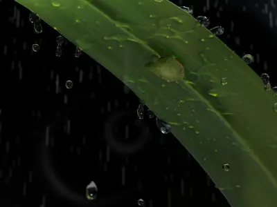 One Stinkbug Two scenes Free low-poly 3D model