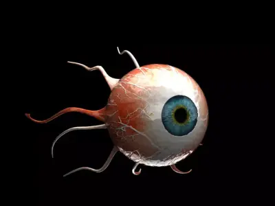 Eye 3D Model 3D model