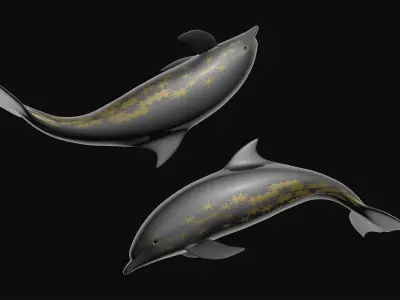 Star dolphin 3D model