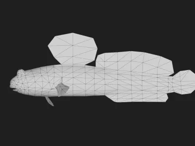 Mudskipper Low-poly 3D model