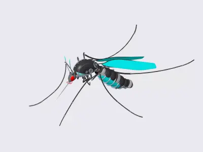 Mosquito robot 3D model