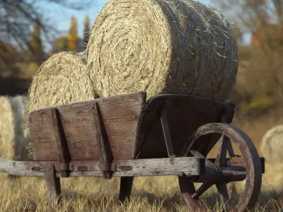 Wooden Wheelbarrow with Hay Bales Brown 3D model