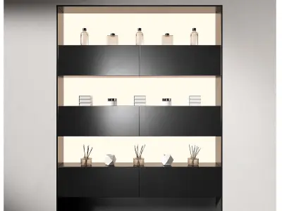 Display rack Built-in niche shelves with continuous lighting 3D model
