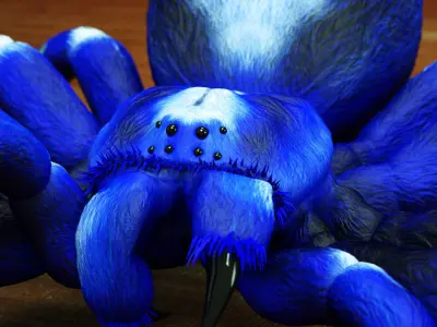 Tarantula - Gooty Sapphire Spider - Poecilotheria Metallica 3D model