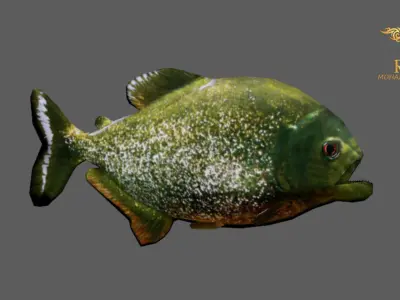 Animated Piranha Fish - Loop Animation with 1160 Frames Low-poly 3D model