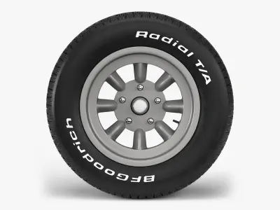 BFGoodrich Mini Lite Combo 3D model