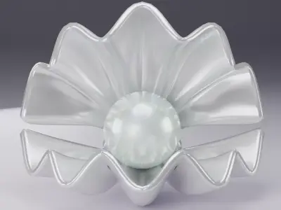 Shell and Pearl 3D model