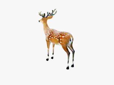 Deer Animal Free 3D model
