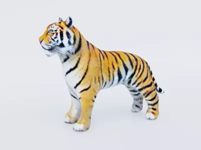 Tiger Free 3D model