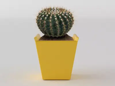 New Pot 3D model 3D print model 1 3D print model