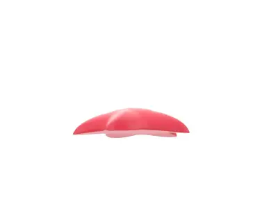 Prop202 Star Fish 3D model